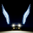 Tofu Run Remastered